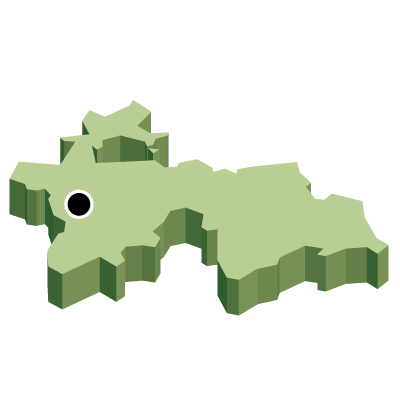 タジキスタン共和国無料フリーイラスト｜首都・立体(緑)